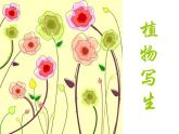 三年級(jí)下冊(cè)美術(shù)課件-第六課 植物寫生冀美版 (共15張PPT)