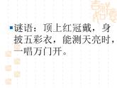 四年级上册美术课件-6. 大花鸡 -冀教版 (共20张PPT)