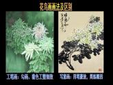 學(xué)畫花卉PPT課件免費(fèi)下載