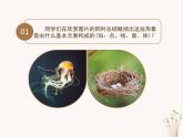 線材成型PPT課件免費下載