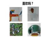 折紙動(dòng)物PPT課件免費(fèi)下載
