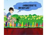 15--螞蟻的巢穴課件PPT