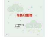 17--吃蟲子的植物課件PPT