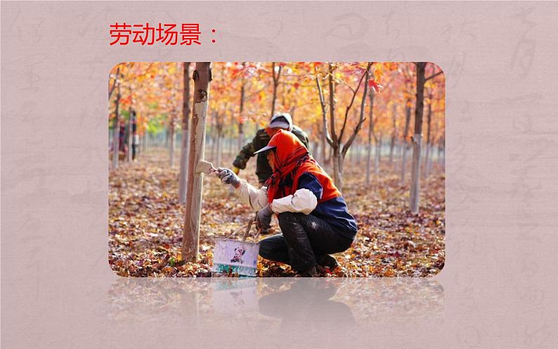 我们爱劳动PPT课件免费下载03