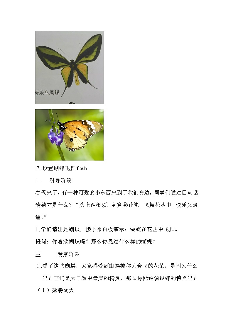 辽海版 一年级下册美术 第11 课 会飞的花朵 教案第2页