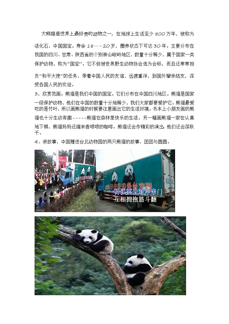 美术  辽海版  二年级下 22 熊猫的家  教案第2页