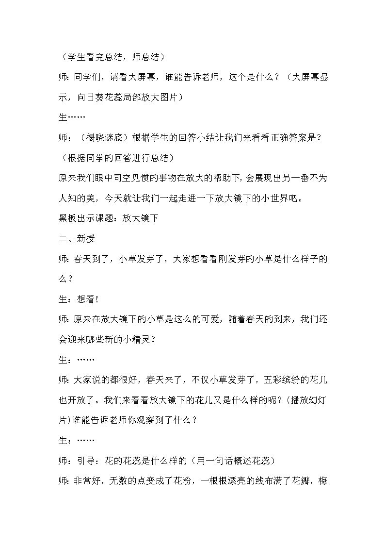 三年级下册美术教案-第6课 放大镜下 辽海版第2页