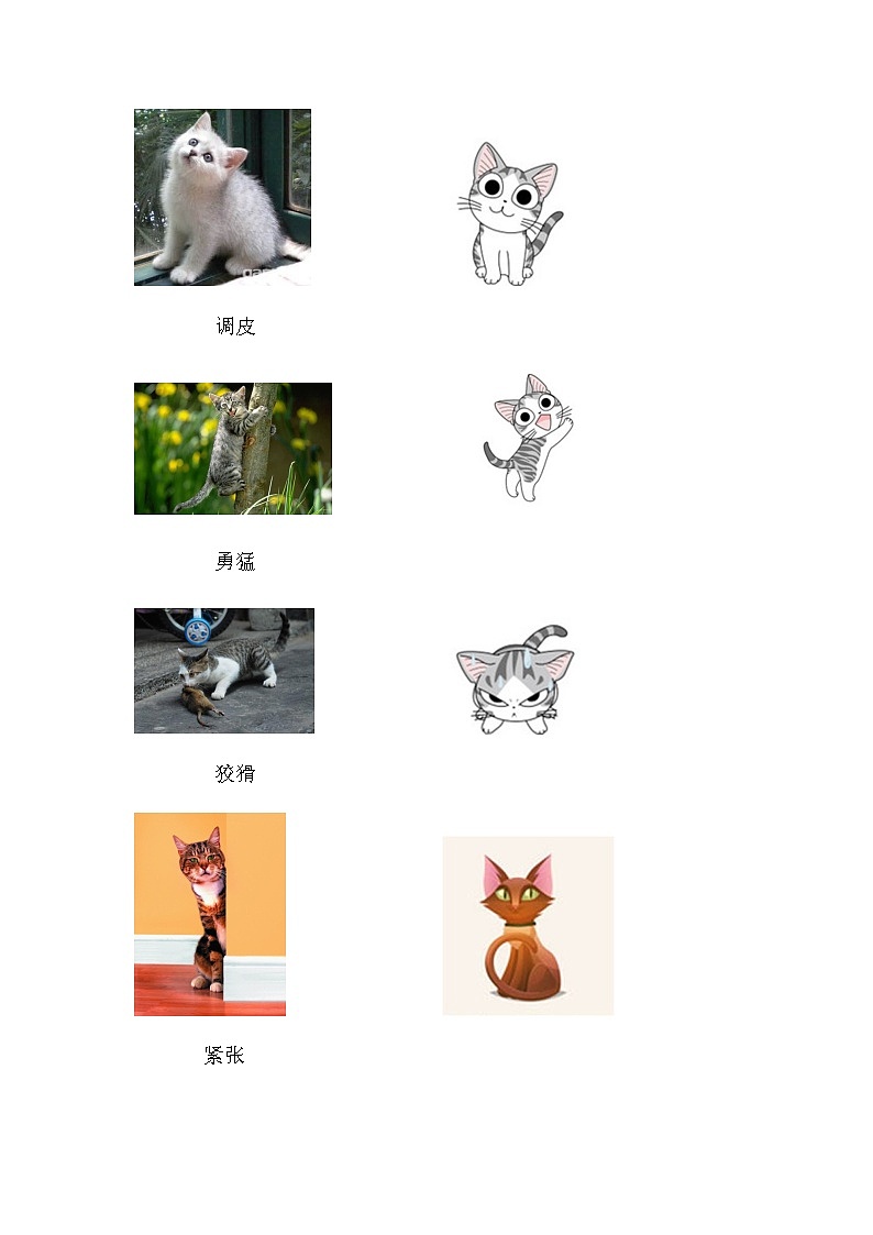 辽海版 三年级下册美术 第7课 我家的猫  教案03