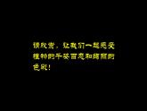 6--三美下  植物寫生課件PPT