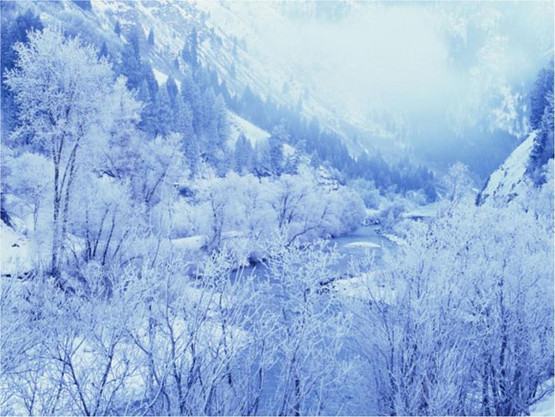 六年级下册美术课件-第2课色彩的魔术师｜辽海版第5页