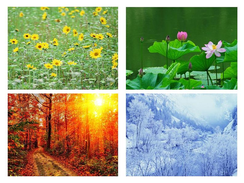 六年级下册美术课件-第2课色彩的魔术师｜辽海版第6页