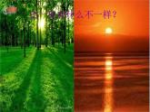 冷色与暖色PPT课件免费下载
