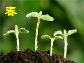 四季的感受PPT课件免费下载