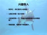 美术 辽海版 五年级上 第六单元  第17课 废纸盒变动物 课件（11 张PPT）