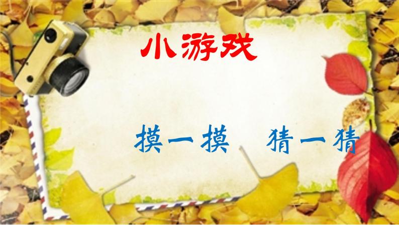 美术 辽海版 五年级上 第四单元  第11课 玉米皮贴画 课件（11 张PPT）02
