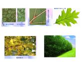 微觀世界PPT課件免費(fèi)下載
