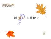 湘美版 美術(shù)三年級上冊 11.留住秋天(課件)(002)