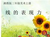 湘美版 美术三年级上册 5.线的表现力(3)(课件)