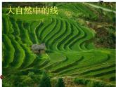 湘美版 美術(shù)三年級(jí)上冊(cè) 8.線描外形(4)(課件)