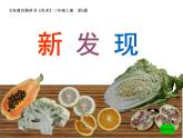 新發(fā)現(xiàn)PPT課件免費下載