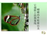 湘美版 美術(shù)三年級(jí)上冊(cè) 5.線(xiàn)的表現(xiàn)力(4)(課件)