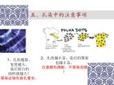 花手帕PPT課件免費下載