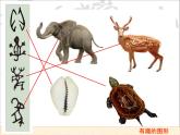 湘美版 美術(shù)三年級上冊 7.有趣的圖形(1)(課件)