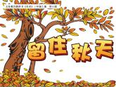 湘美版 美術(shù)三年級上冊 11.留住秋天(課件)(001)