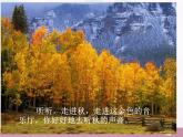 留住秋天PPT課件免費(fèi)下載
