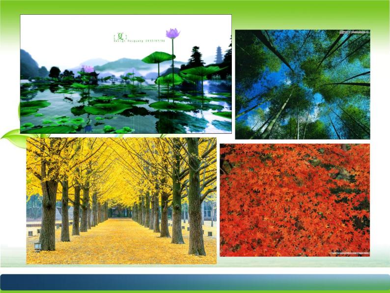 美术五年级上册人美版 第9课 创造绿色的生活（课件）03