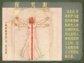 美術(shù)五年級上冊人美版 第6課 美術(shù)中的比例(6)（課件）