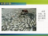 美術(shù)五年級(jí)上冊(cè)人美版 第9課 創(chuàng)造綠色的生活_（課件）