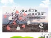 美術(shù)五年級(jí)上冊(cè)人美版 第9課 創(chuàng)造綠色的生活(3)（課件）