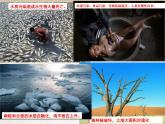 美術(shù)五年級(jí)上冊(cè)人美版 第9課 創(chuàng)造綠色的生活 (2)（課件）