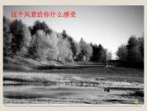 美術(shù)五年級上冊人美版 第10課 色彩的色相（課件）
