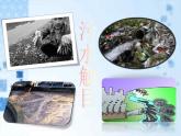 美術(shù)五年級(jí)上冊(cè)人美版 第9課  創(chuàng)造綠色的生活(1)（課件）