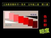 美術(shù)五年級(jí)上冊(cè)人美版 第11課 色彩的明度(2)（課件）