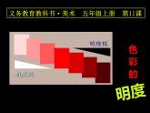 美術(shù)五年級(jí)上冊(cè)人美版 第11課 色彩的明度(3)（課件）