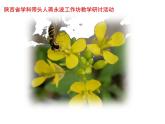 現(xiàn)代城市的地下世界PPT課件免費(fèi)下載