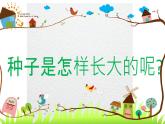 小學(xué)美術(shù)-第2課-長(zhǎng)呀長(zhǎng)--人美版-(共15張PPT)ppt課件