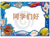 大魚和小魚PPT課件免費下載