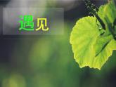 風(fēng)PPT課件免費(fèi)下載