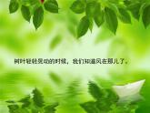 風(fēng)PPT課件免費(fèi)下載