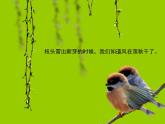 風(fēng)PPT課件免費(fèi)下載