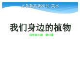 小学美术-《第12课-我们身边的植物》-人美版-(共34张PPT)ppt课件
