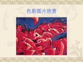 色彩的明與暗PPT課件免費下載