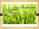 长呀长PPT课件免费下载