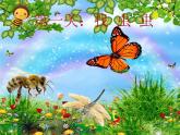 虫虫世界PPT课件免费下载