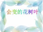 小學(xué)美術(shù)-《第13課-會(huì)變的花、樹、葉》蘇少版(共45張PPT)ppt課件