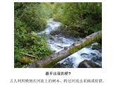 小學美術-第14課--橋-蘇少版--(共43張PPT)ppt課件